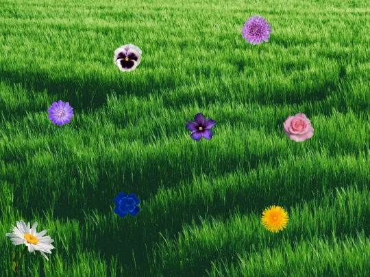 poems screenshot