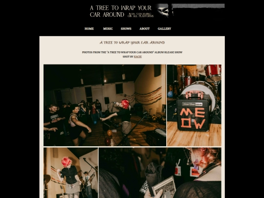 albumreleaseshow screenshot