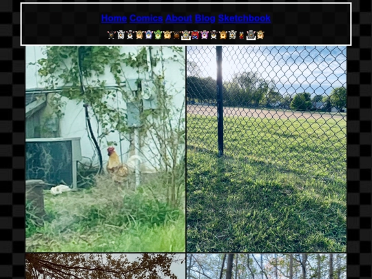Randomyehe/Photobank screenshot
