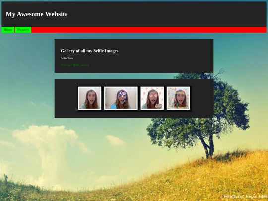 pictures screenshot