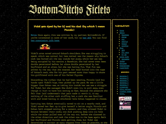 fics/bottombitch/videldp screenshot
