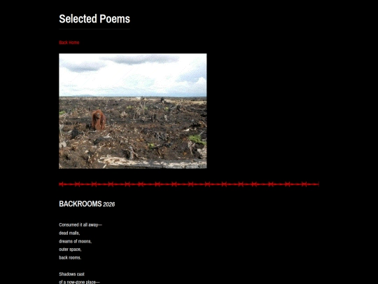 poetry screenshot