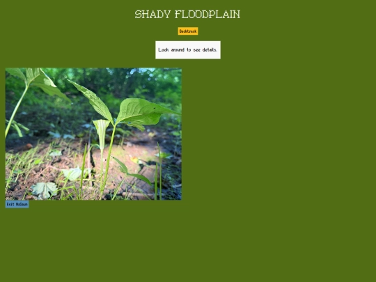 nasaun/shady-floodplain/131 screenshot