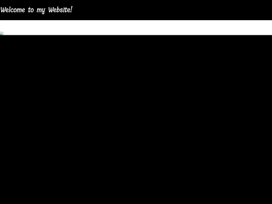 blank screenshot