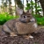 mimimibani.neocities.org avatar