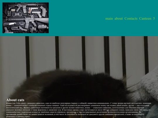 g screenshot