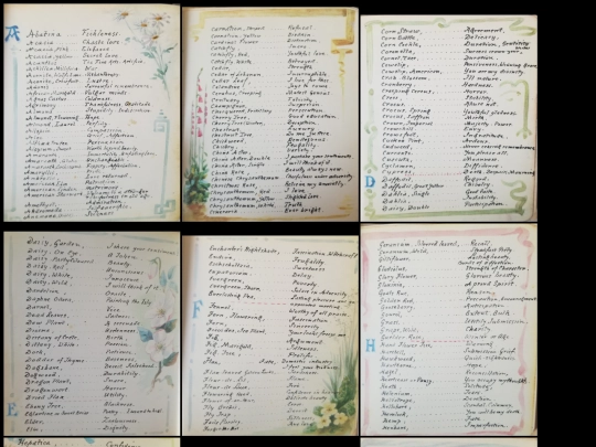 flowers screenshot