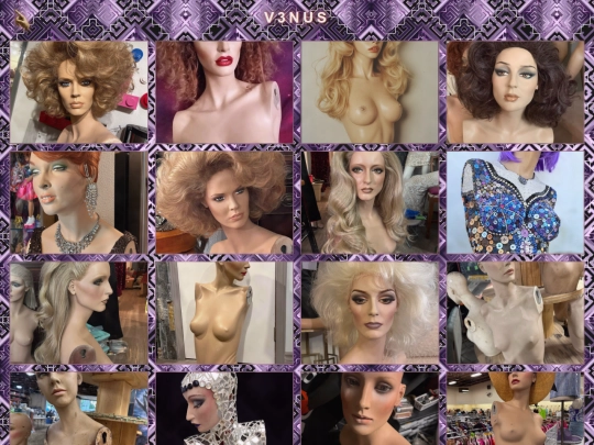 v3nus screenshot