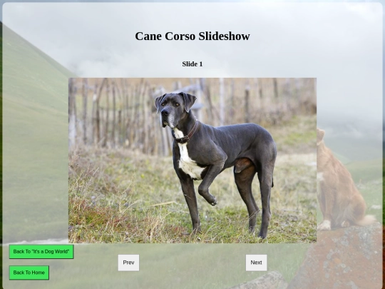 documents/Final Project Assignment/cane_corso screenshot