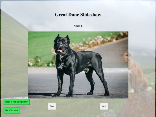 documents/Final Project Assignment/great_dane screenshot