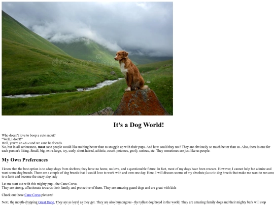 documents/final_project/dog_information screenshot