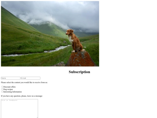 documents/final_project/form screenshot