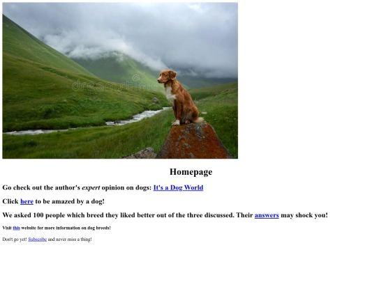 documents/final_project screenshot
