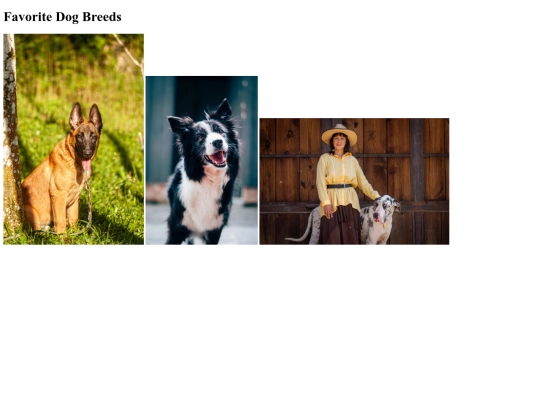 documents/starter-gallery/dog-breeds screenshot