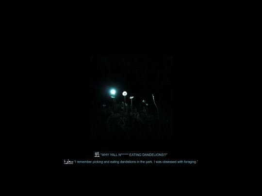 dandelions screenshot