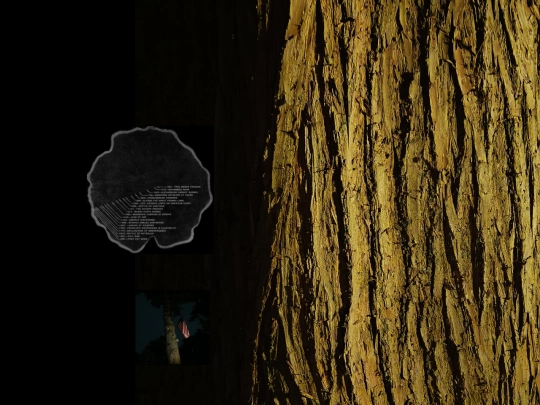 ent screenshot