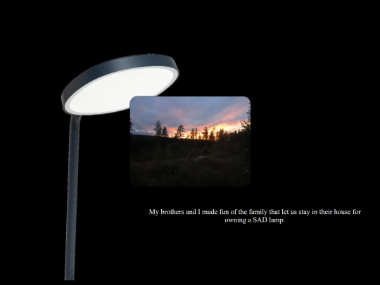 finland12 screenshot