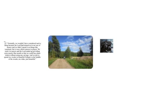 finland5 screenshot