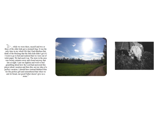 finland6 screenshot