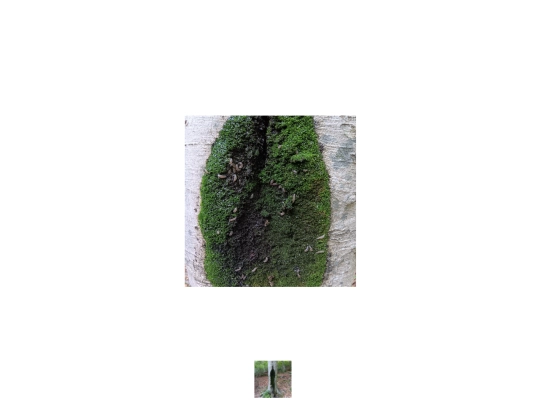 fossora-closer screenshot