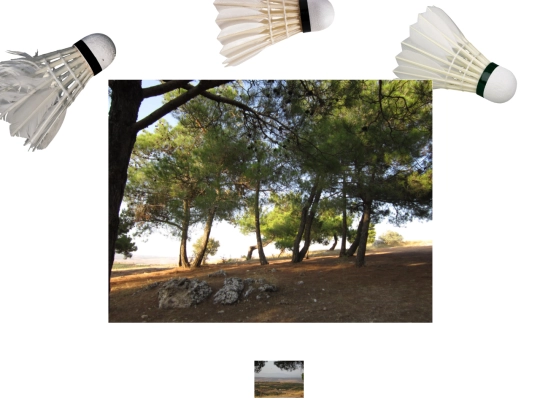 gaziantep-forest screenshot