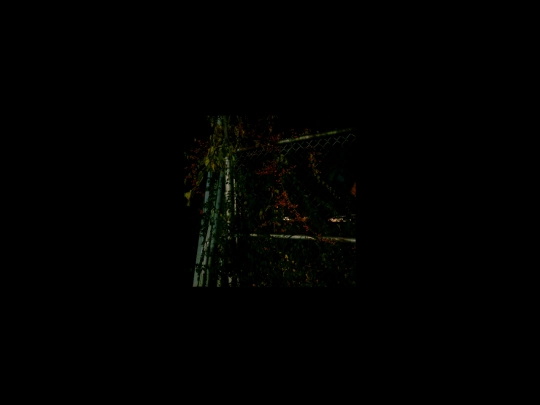library-fence screenshot