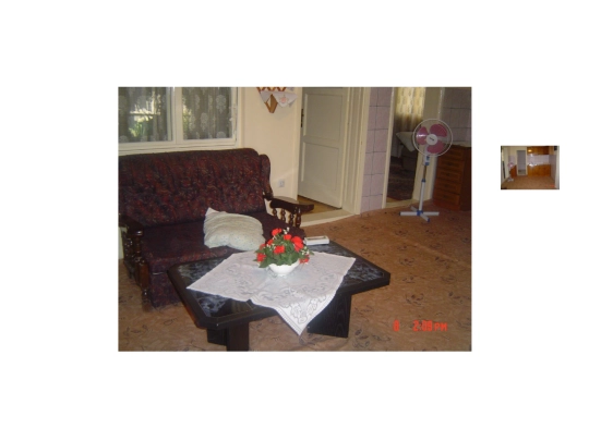 macedonia-house-flowers screenshot