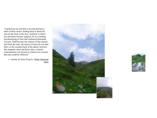 macedonia-pine screenshot