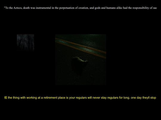 other-side screenshot