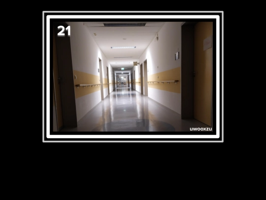 factorization/camellia screenshot