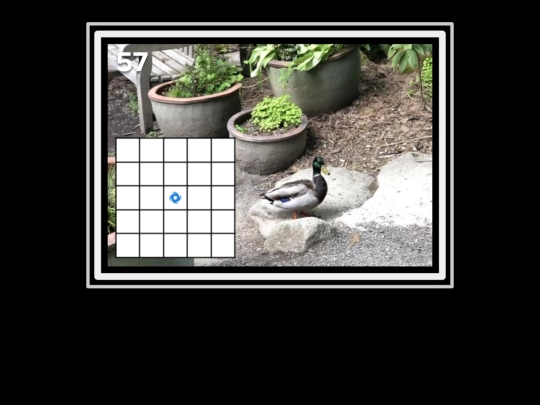 zygapophysis/winterexcerpt screenshot