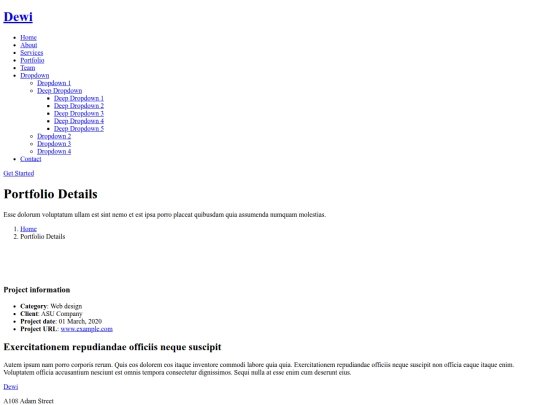 portfolio-details screenshot