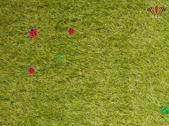 grass/grass screenshot