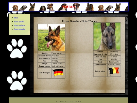 perrosGrandes screenshot