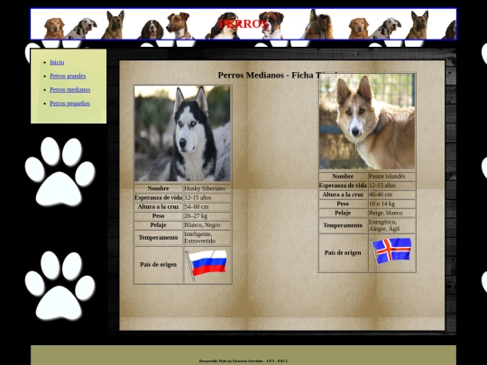 perrosMedianos screenshot