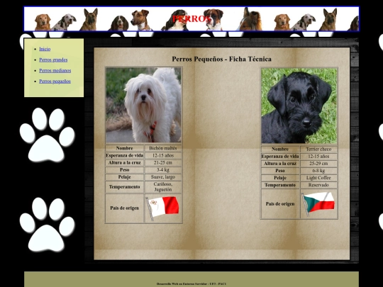 perrosPequeos screenshot