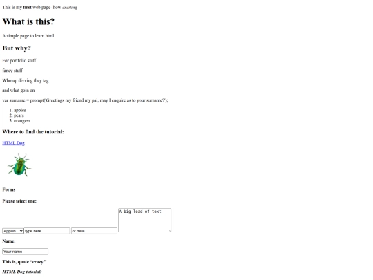 myfirstpage screenshot