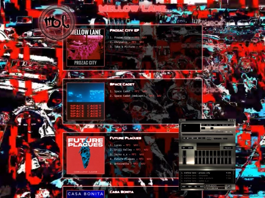 downloads screenshot