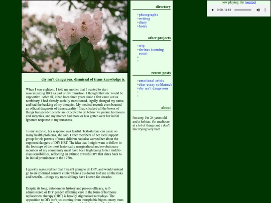 diy screenshot