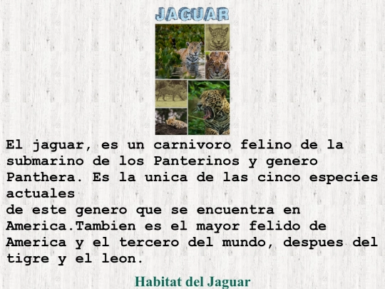 Jaguar screenshot