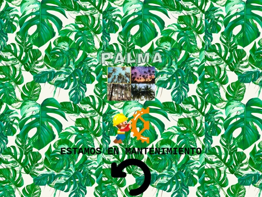 Palma screenshot