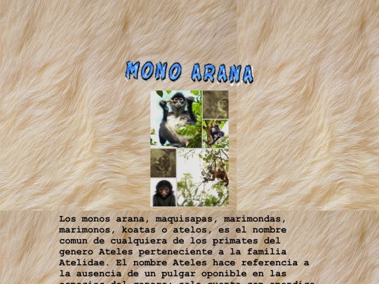 mono arana screenshot