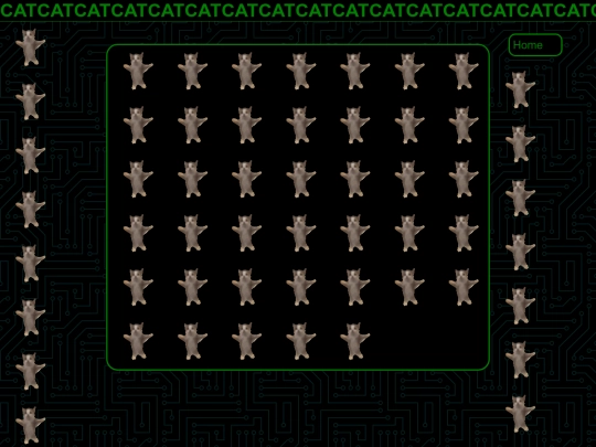cat screenshot