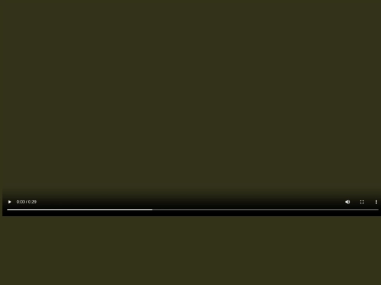 obradinn screenshot