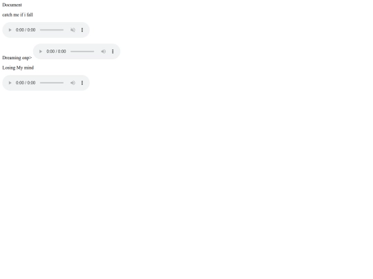 play list with audio screenshot