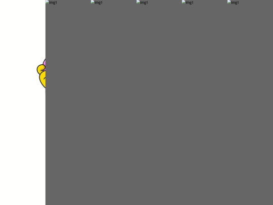 Proyecto carlo/patrones screenshot