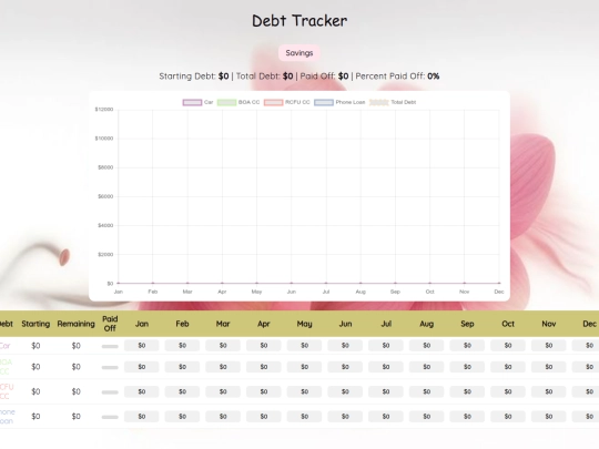 debt screenshot
