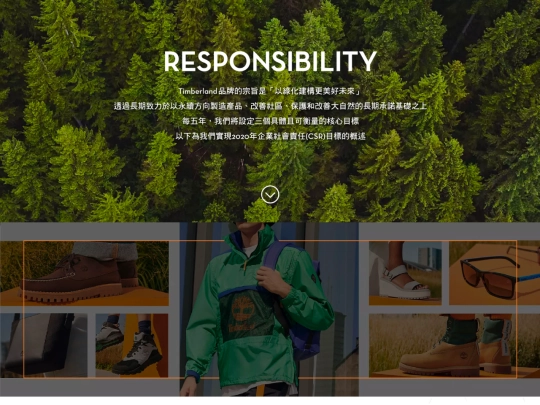 view screenshot
