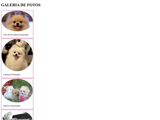 indexfotos screenshot