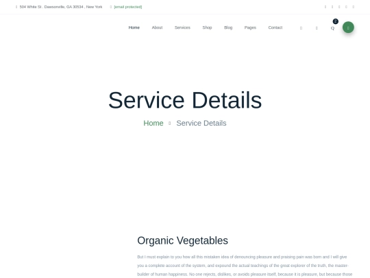 services-details screenshot